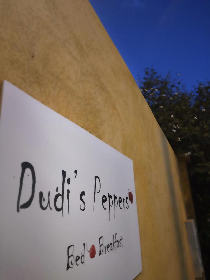 Apartamento Dudi'S Peppers Málaga Exterior foto