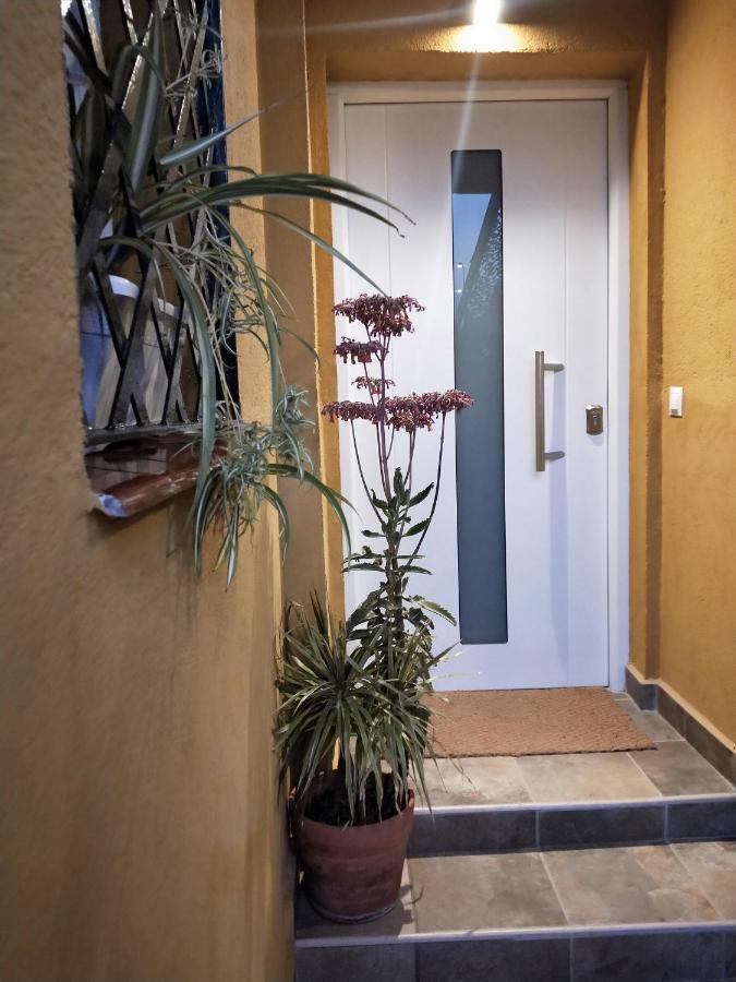 Apartamento Dudi'S Peppers Málaga Exterior foto