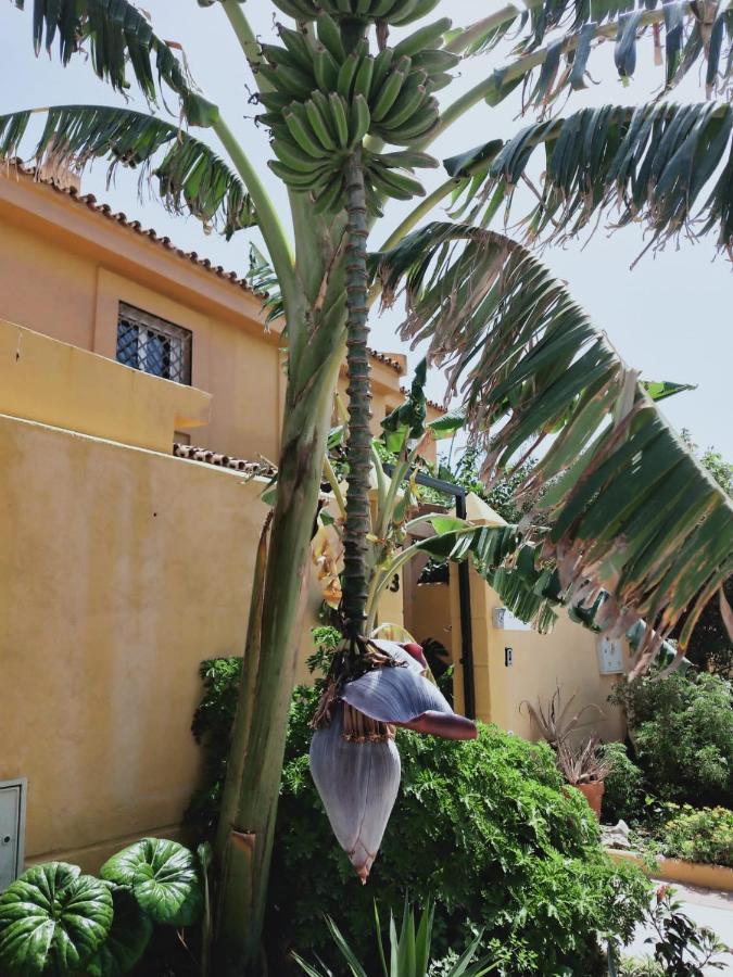 Apartamento Dudi'S Peppers Málaga Exterior foto